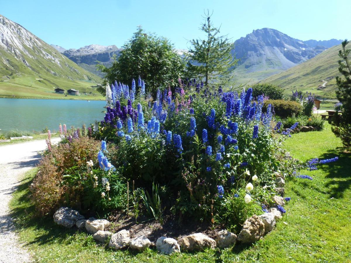 Chalet Le Cordava Tignes Eksteriør billede